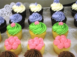 Cupcakes at Mount Hermon